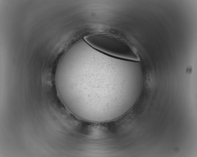 X0000112920512200909080937