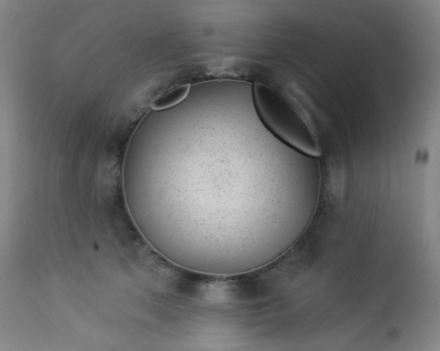 X0000112920513200909080937