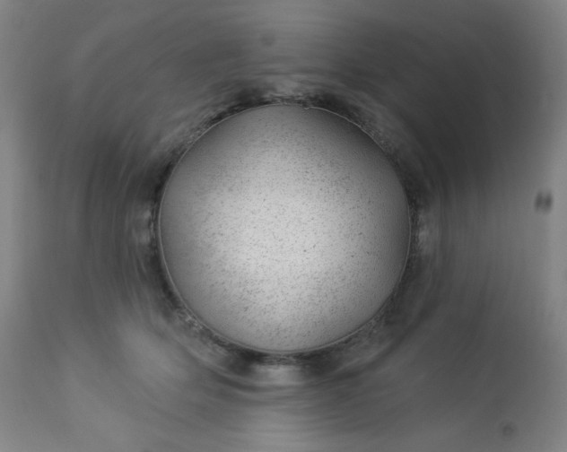 X0000112920514200909080937