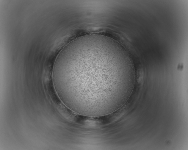 X0000112920515200909080937
