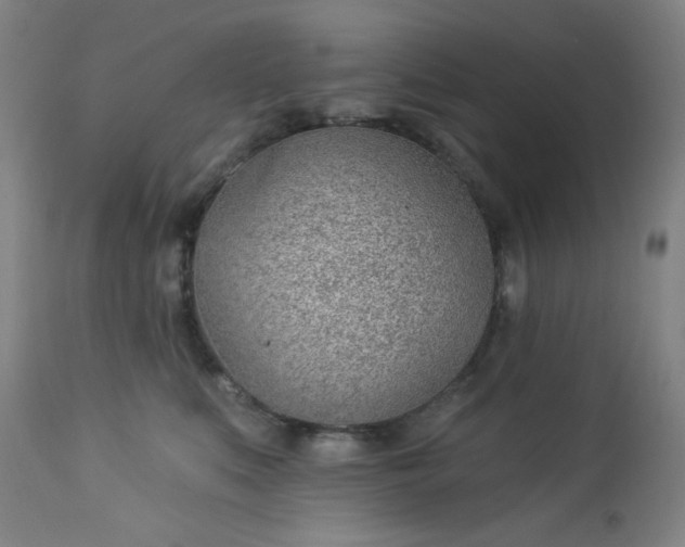 X0000112920519200909080937