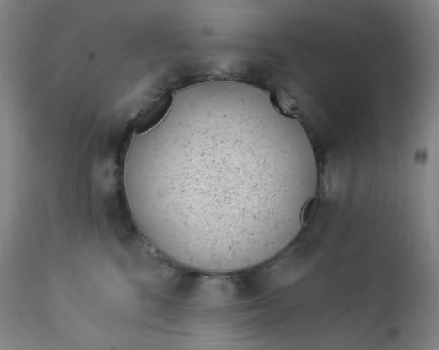 X0000112920520200909080937