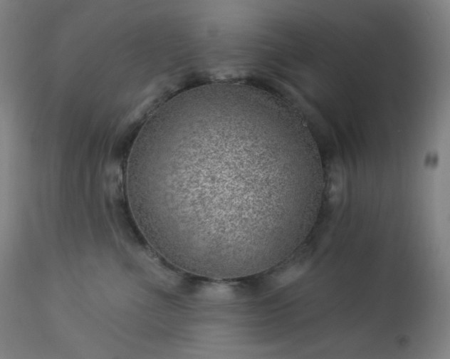 X0000112920523200909080937