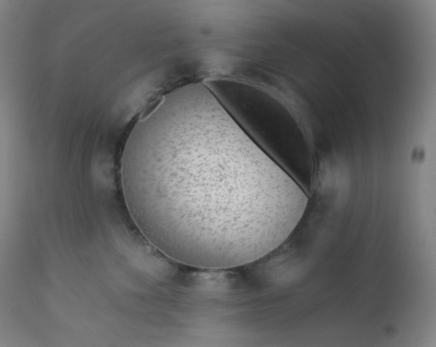X0000112920524200909080937