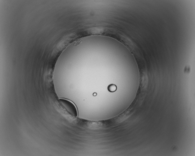 X0000112920525200909080937