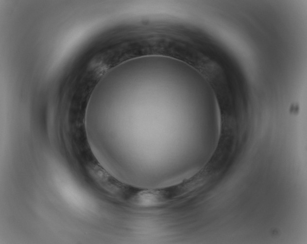 X0000112920526200909080937