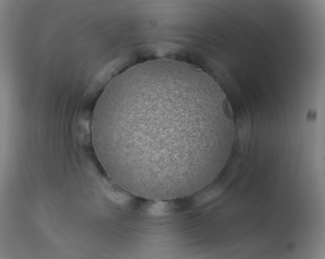 X0000112920527200909080937