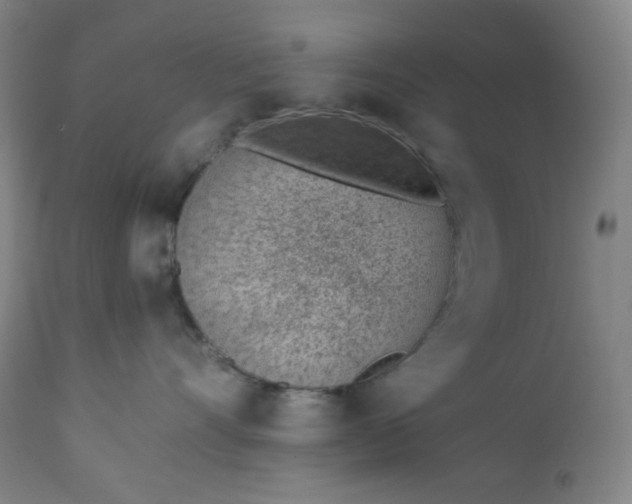 X0000112920528200909080937