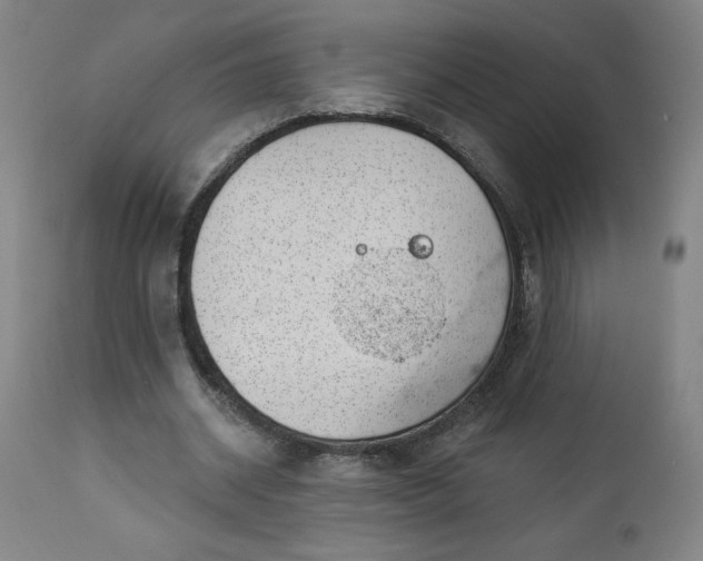 X0000112920534200909080936