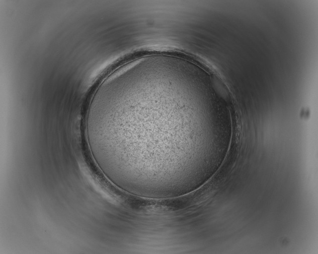 X0000112920535200909080936
