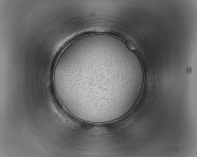 X0000112920536200909080936