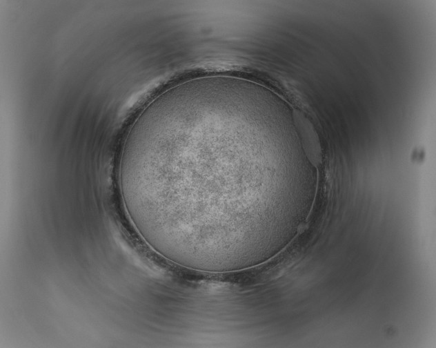 X0000112920539200909080936