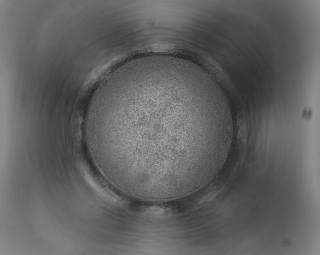 X0000112920542200909080936