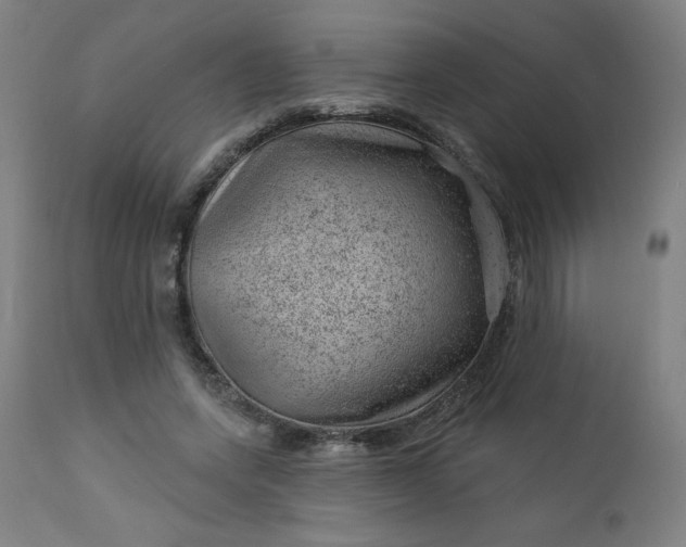 X0000112920543200909080936