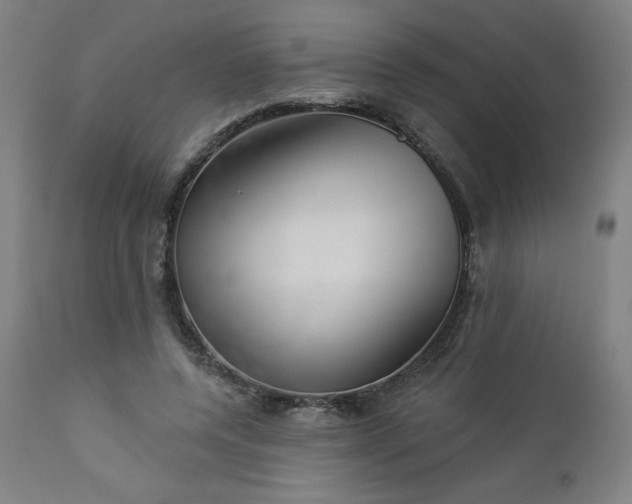X0000112920544200909080936