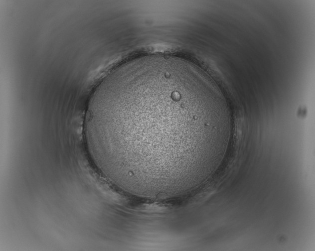 X0000112920545200909080936