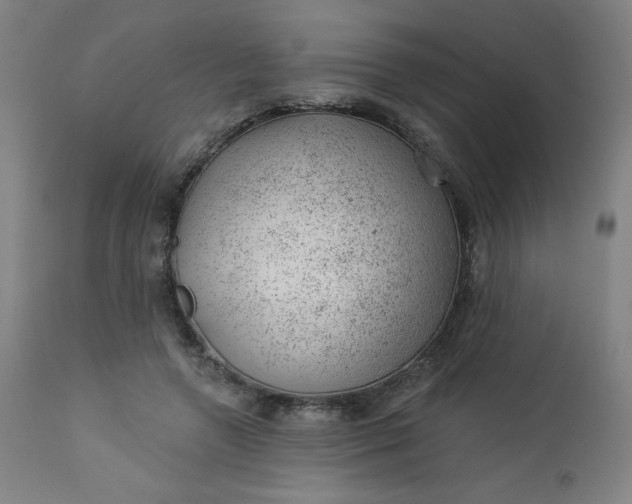 X0000112920546200909080936