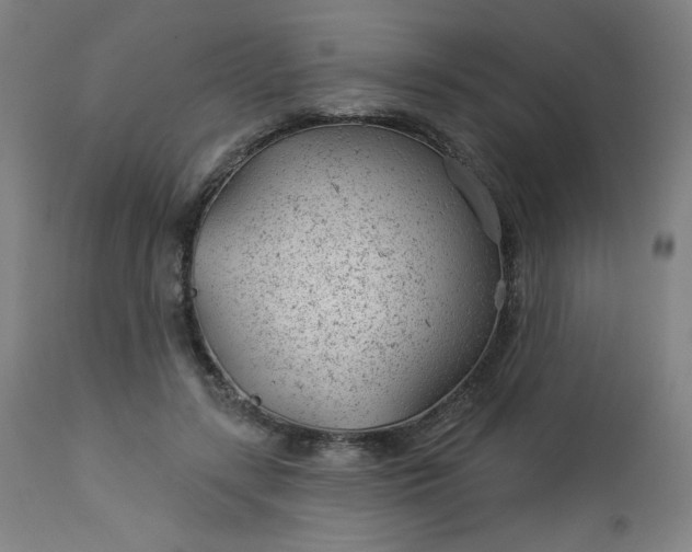 X0000112920547200909080936