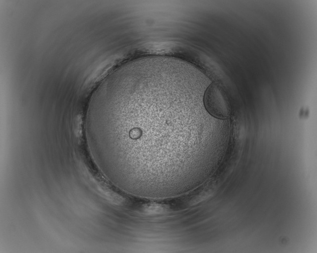 X0000112920549200909080936