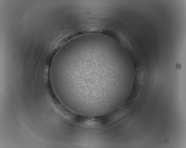 X0000112920550200909080936