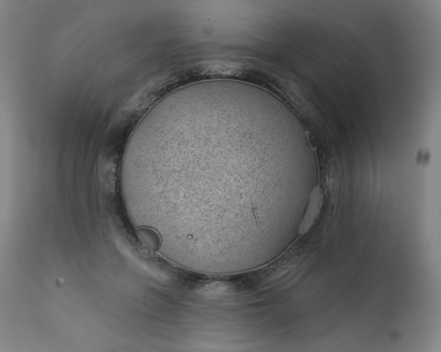 X0000112920551200909080936