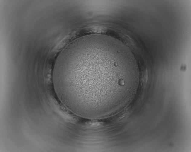 X0000112920553200909080936
