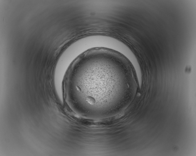 X0000112920556200909080936