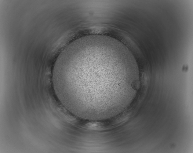 X0000112920557200909080936