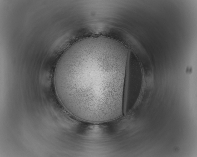 X0000112920558200909080936