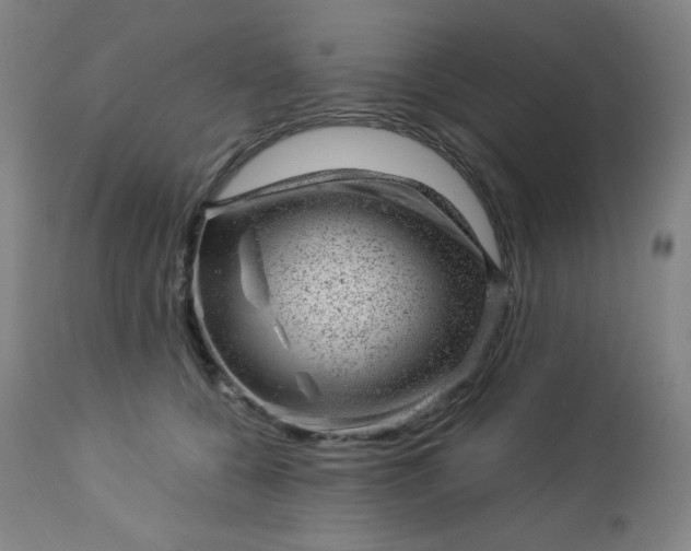 X0000112920560200909080936