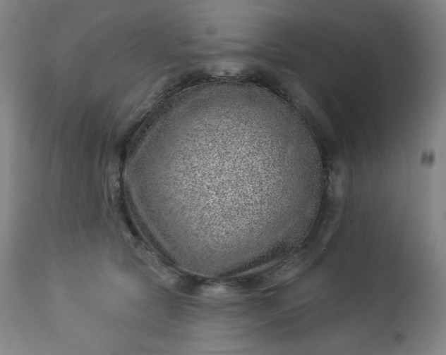 X0000112920561200909080936