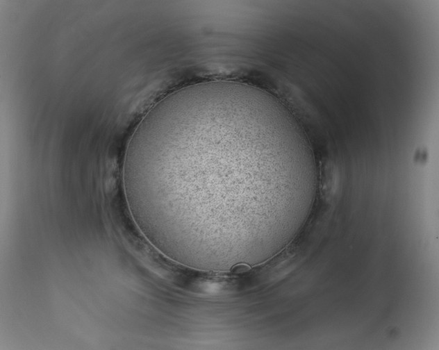 X0000112920563200909080936