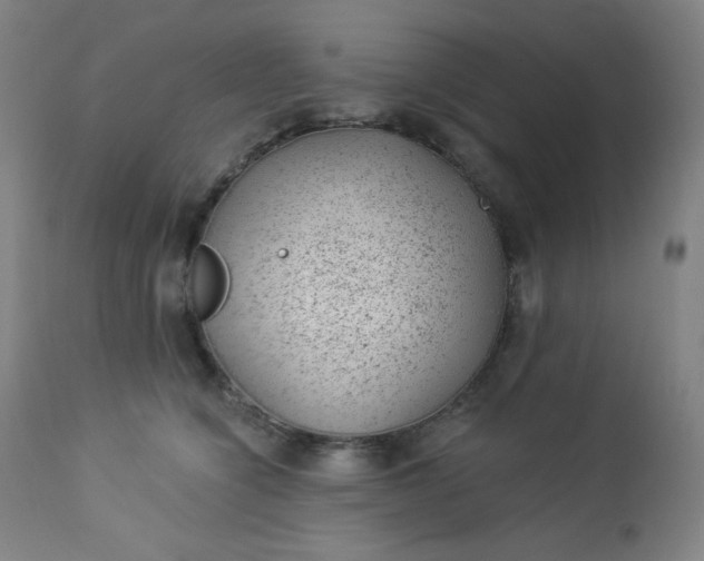 X0000112920564200909080936
