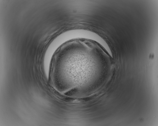 X0000112920566200909080936