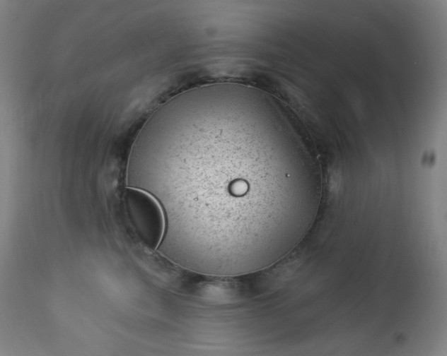 X0000112920567200909080936