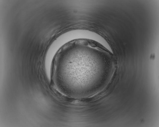X0000112920568200909080937