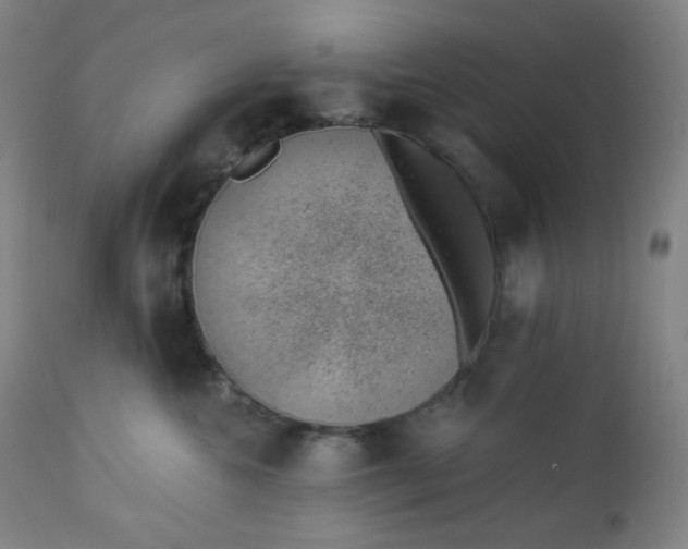 X0000112920572200909080937