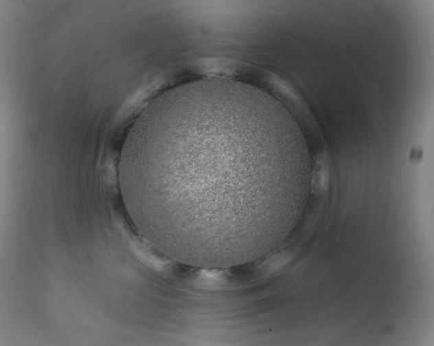 X0000112920573200909080937