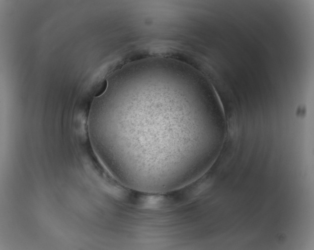 X0000112920575200909080937