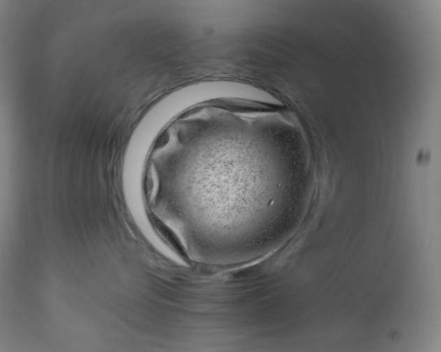 X0000112920576200909080937
