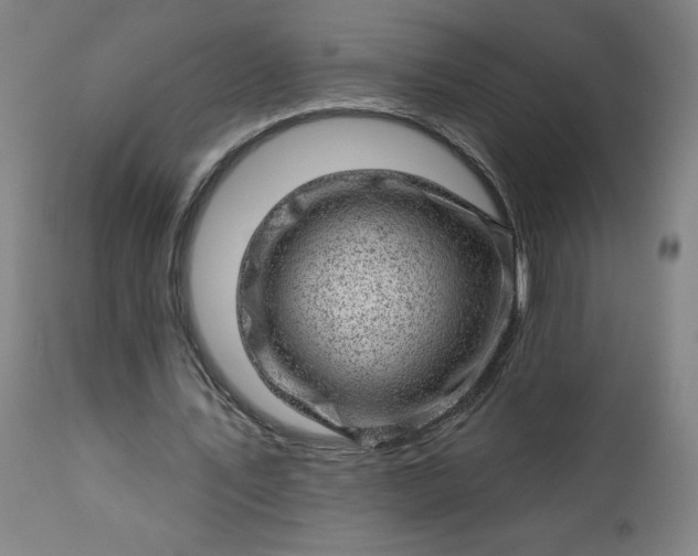 X0000112920579200909080936