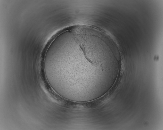 X0000112920580200909080936