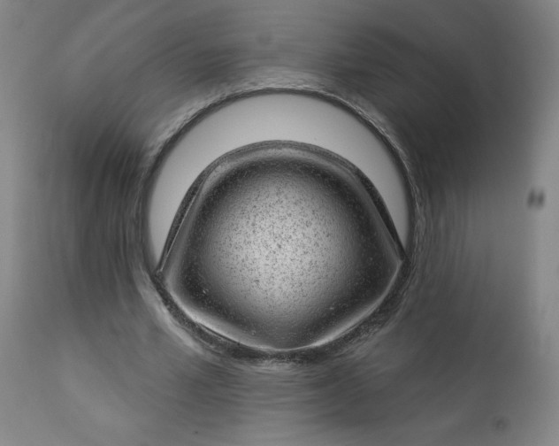 X0000112920581200909080936