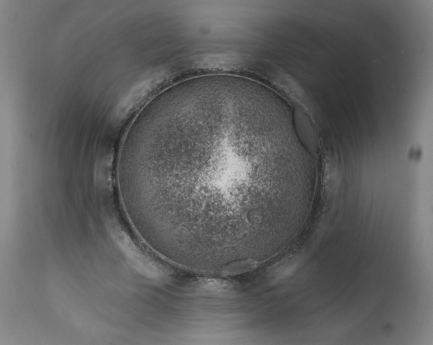 X0000112920585200909080936