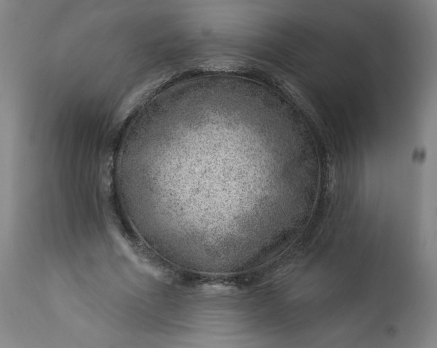 X0000112920586200909080936