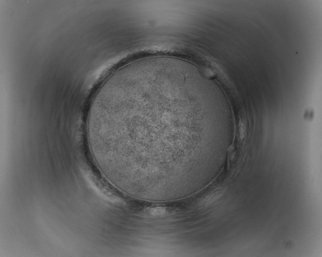 X0000112920588200909080936
