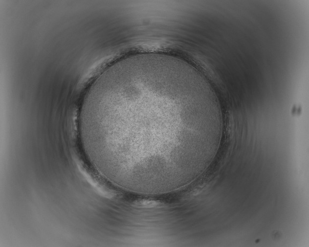 X0000112920590200909080936