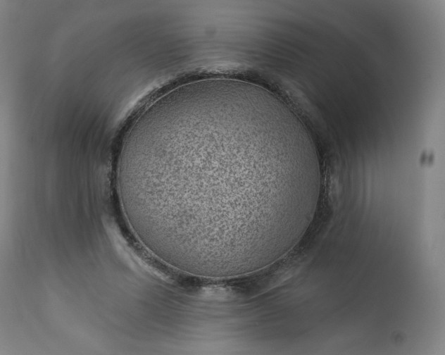 X0000112920591200909080936