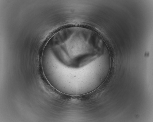 X0000112920592200909080936