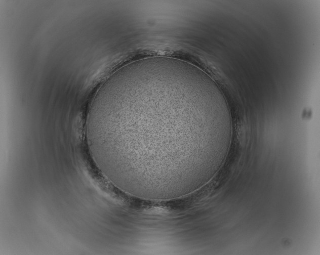 X0000112920594200909080936